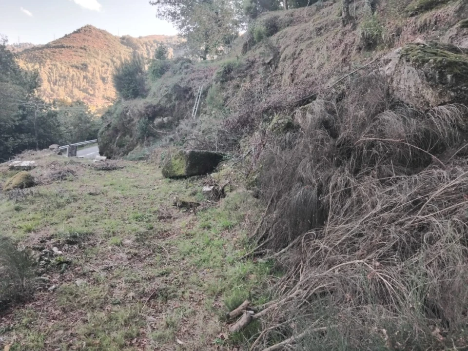 Terreno para Venda em Parada do Bouro Foto 5