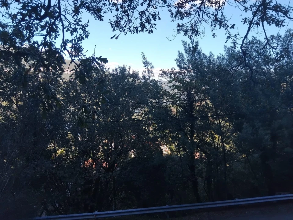 Terreno para Venda em Parada do Bouro Foto 10