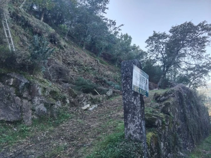Terreno para Venda em Parada do Bouro Foto 2