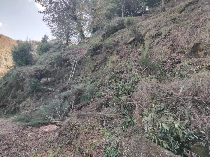 Terreno para Venda em Parada do Bouro Foto 3