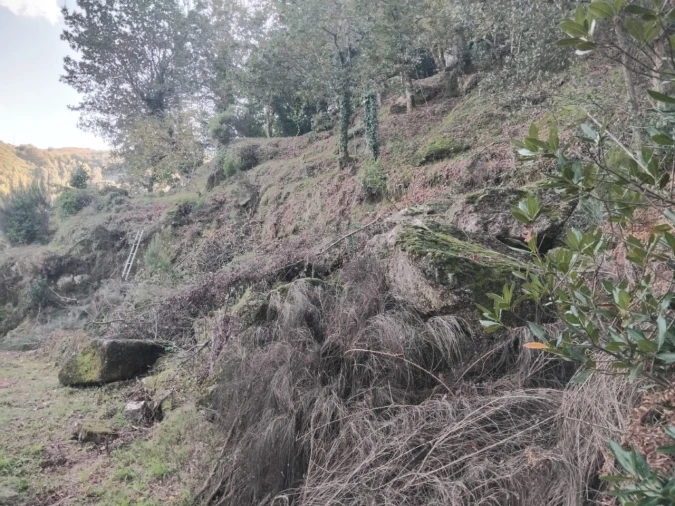 Terreno para Venda em Parada do Bouro Foto 6