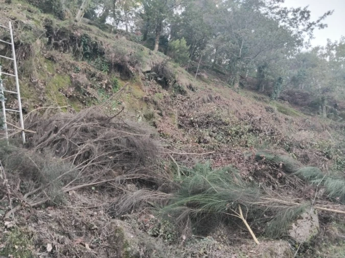 Terreno para Venda em Parada do Bouro Foto 8