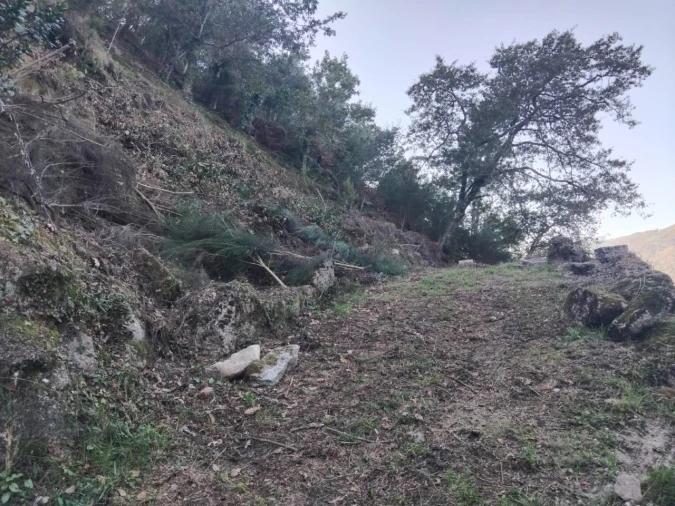 Terreno para Venda em Parada do Bouro Foto 9