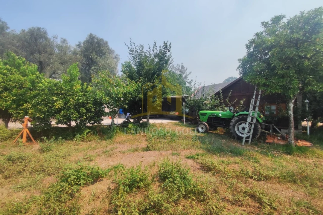 Terreno para Venda em Verim, Friande e Ajude Foto 6