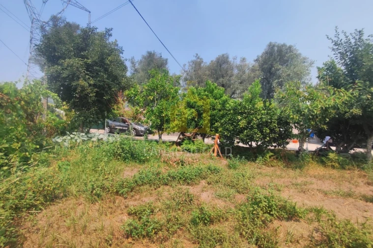 Terreno para Venda em Verim, Friande e Ajude Foto 9