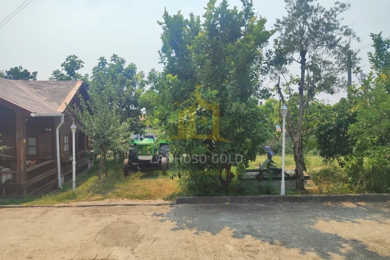 Terreno para Venda em Verim, Friande e Ajude Foto 14