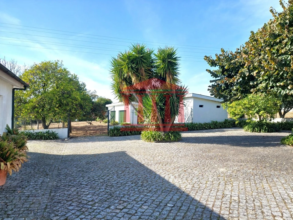 Quinta para Venda em Areias Foto 14