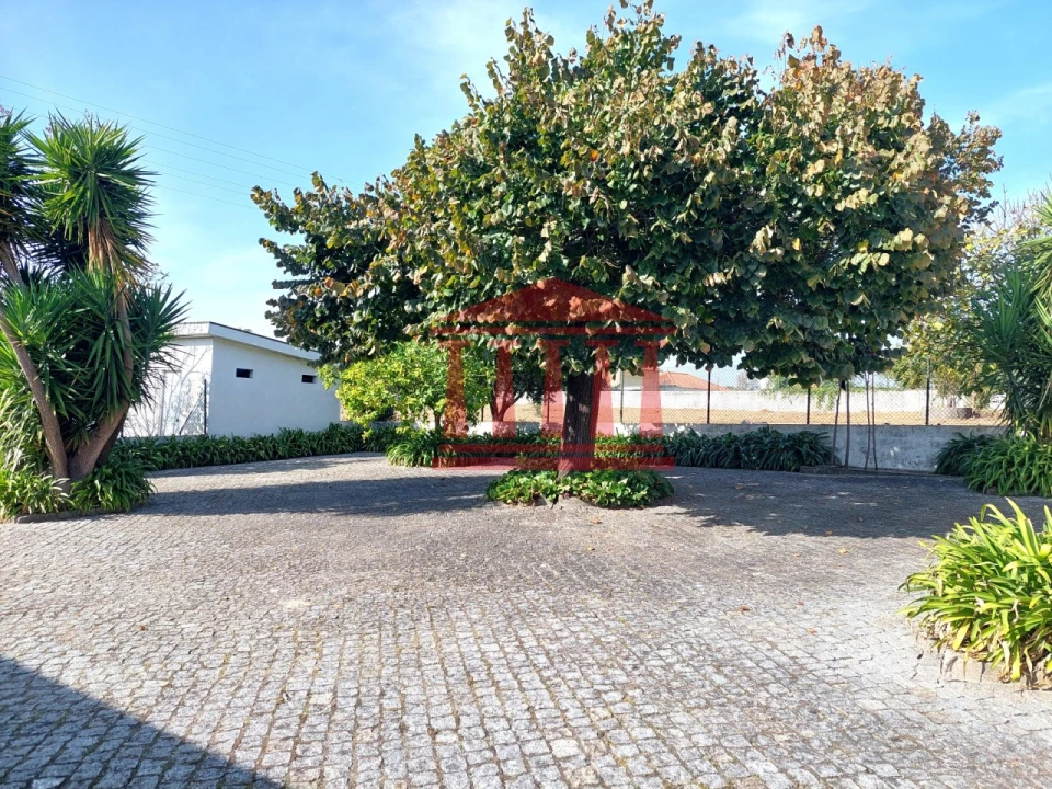 Quinta para Venda em Areias Foto 17