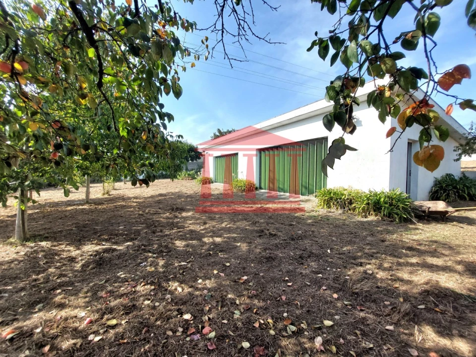 Quinta para Venda em Areias Foto 27