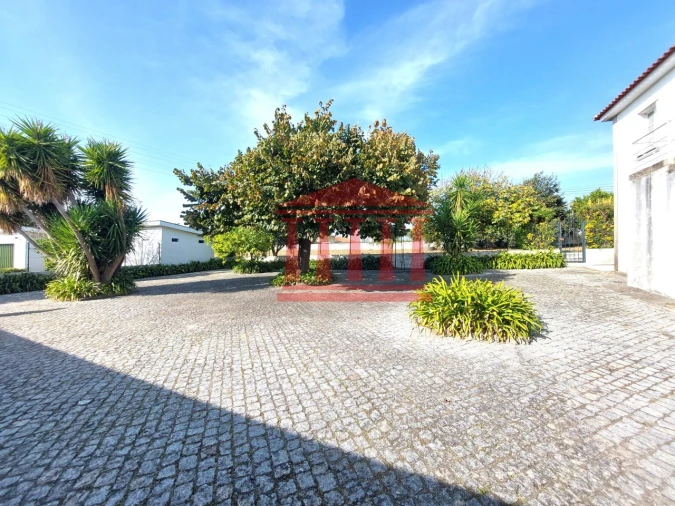 Quinta para Venda em Areias Foto 15