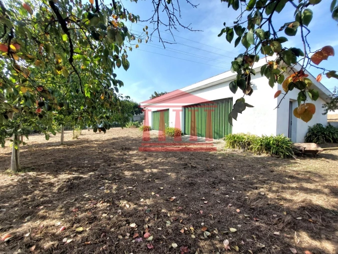 Quinta para Venda em Areias Foto 27