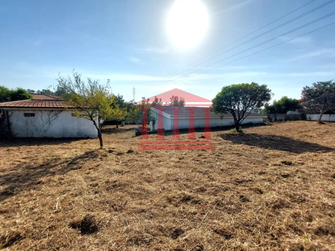 Quinta para Venda em Areias Foto 29