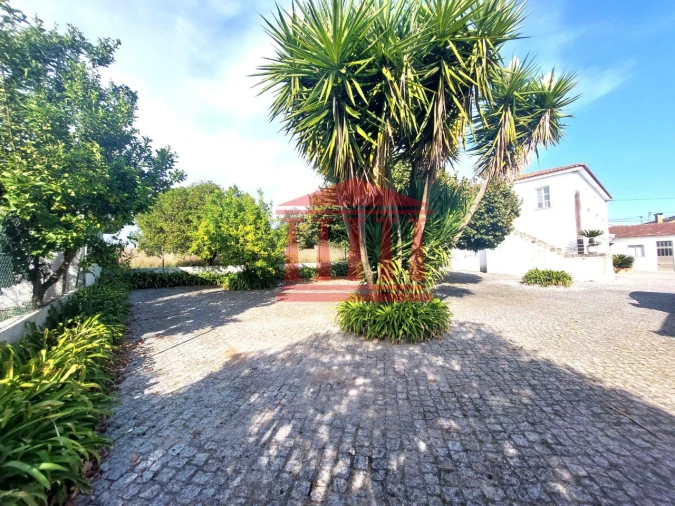 Quinta para Venda em Areias Foto 18