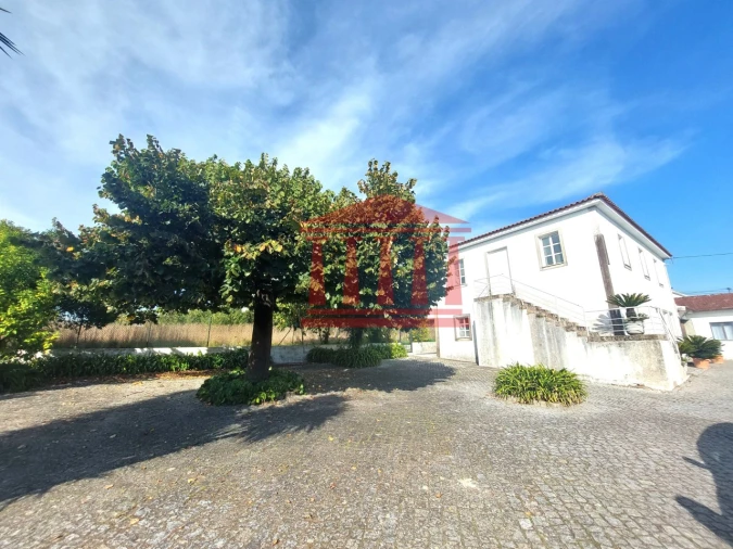 Quinta para Venda em Areias Foto 6