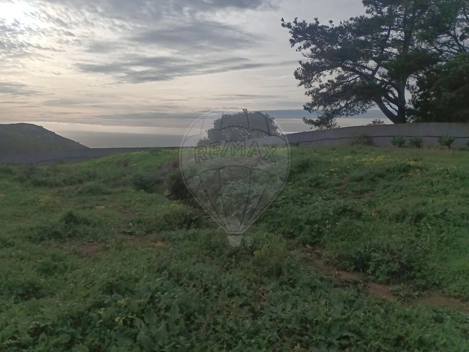 Terreno para Venda em Colares Foto 5