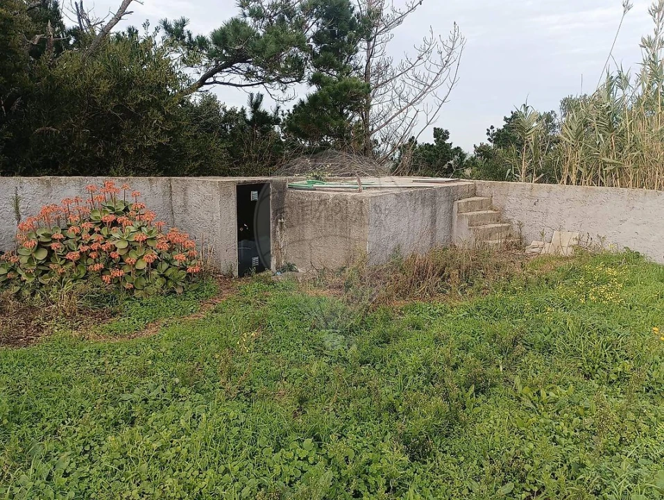 Terreno para Venda em Colares Foto 14