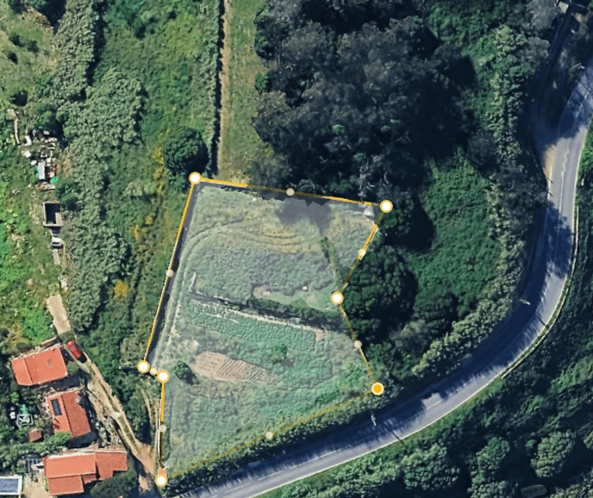 Terreno para Venda em Colares Foto 4