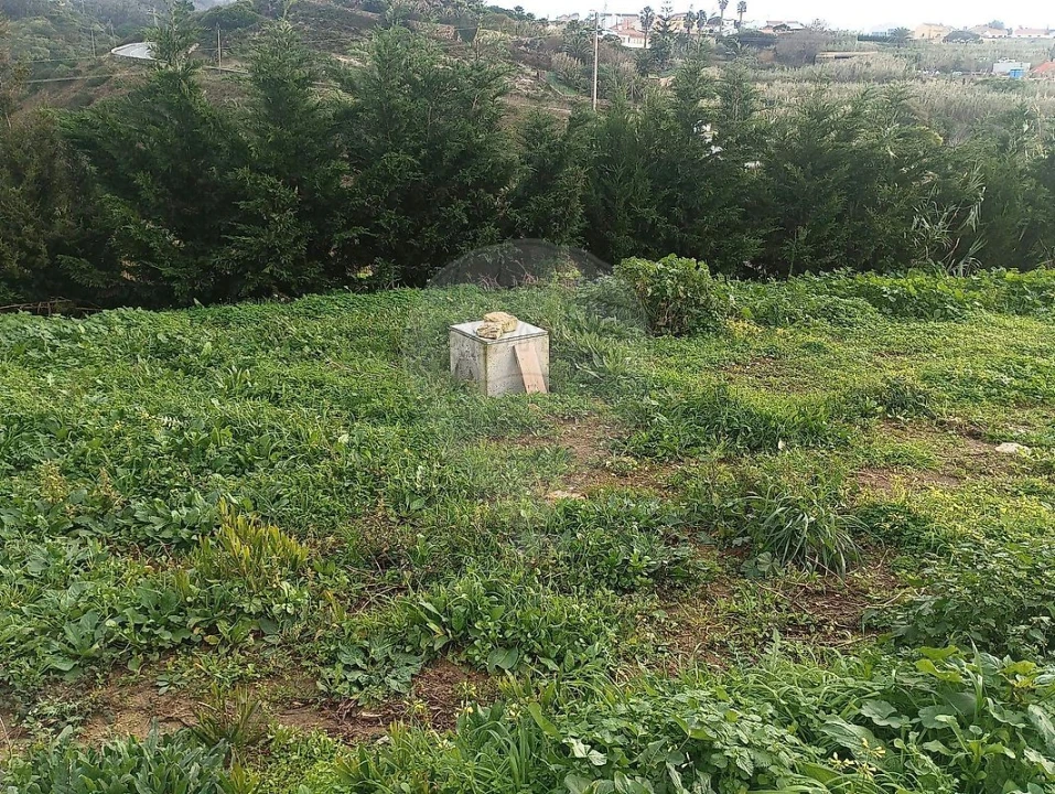 Terreno para Venda em Colares Foto 15
