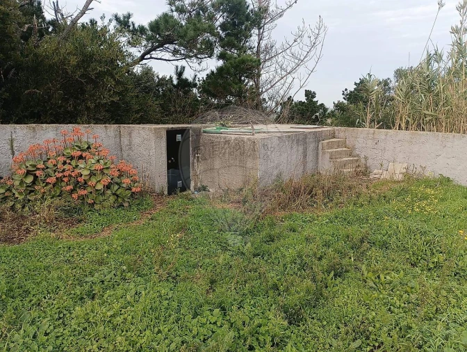 Terreno para Venda em Colares Foto 14