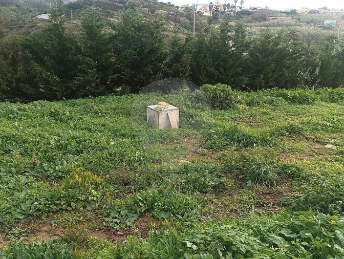 Terreno para Venda em Colares Foto 15