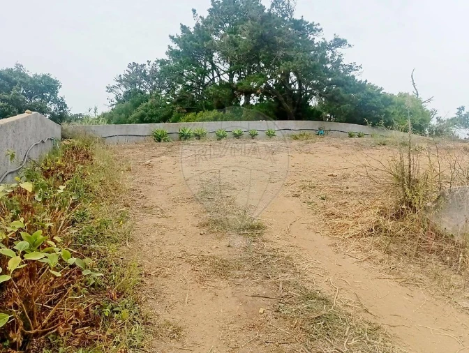 Terreno para Venda em Colares Foto 2
