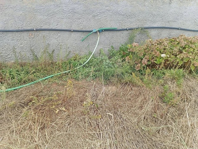 Terreno para Venda em Colares Foto 8