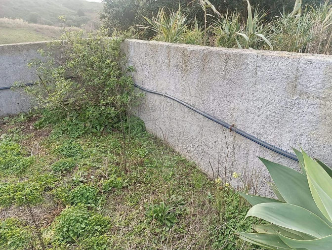 Terreno para Venda em Colares Foto 19