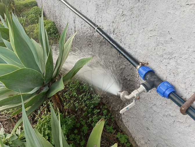 Terreno para Venda em Colares Foto 7