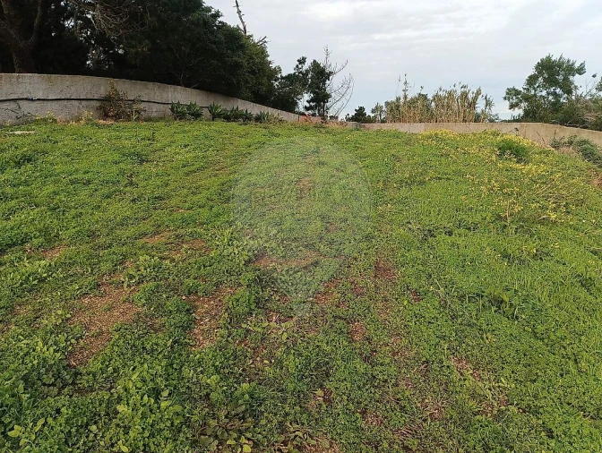 Terreno para Venda em Colares Foto 18