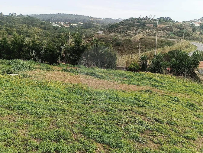 Terreno para Venda em Colares Foto 16