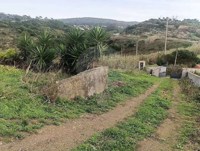 Terreno para Venda em Colares Foto 8