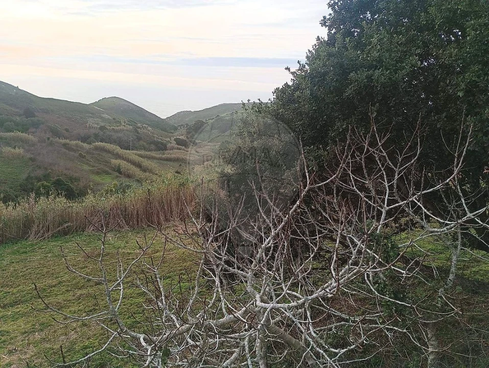 Terreno para Venda em Colares Foto 13