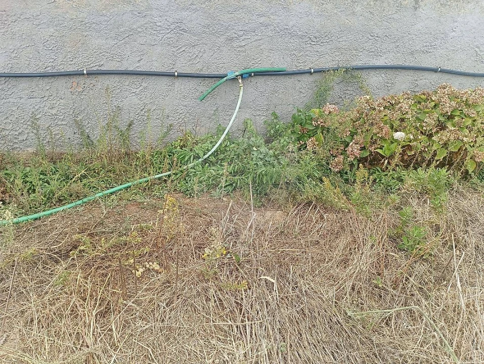 Terreno para Venda em Colares Foto 3