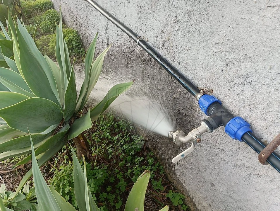 Terreno para Venda em Colares Foto 7