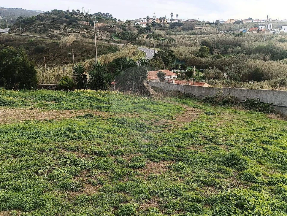 Terreno para Venda em Colares Foto 1
