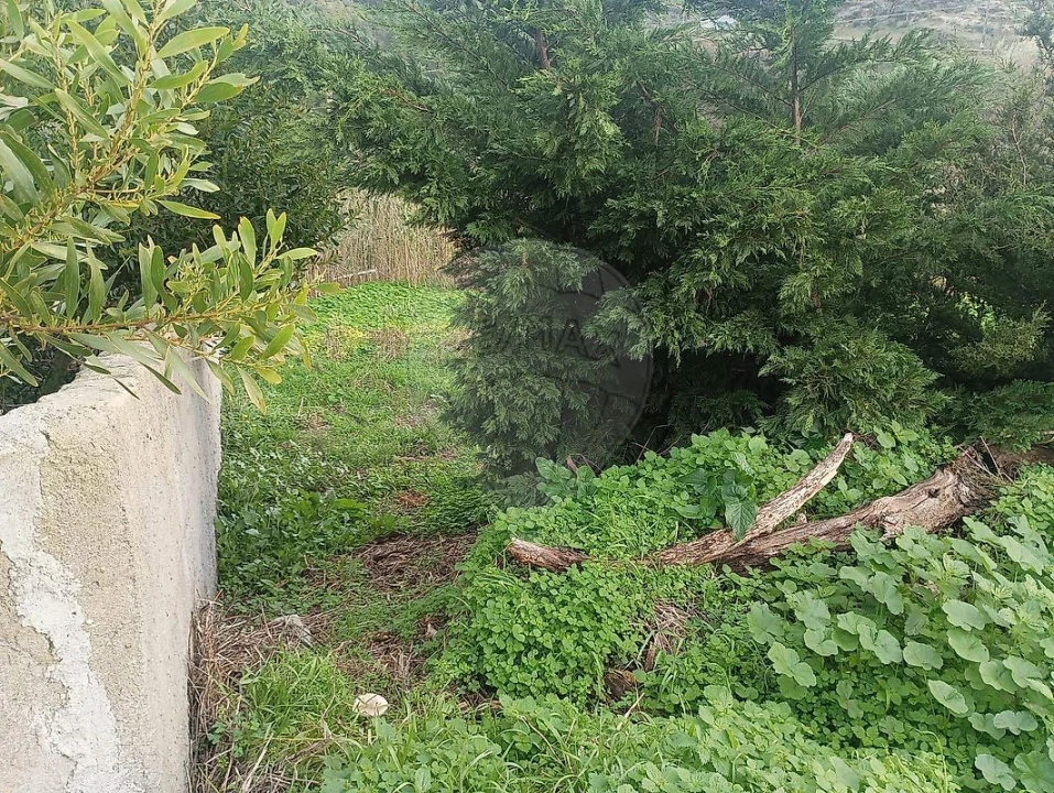 Terreno para Venda em Colares Foto 11