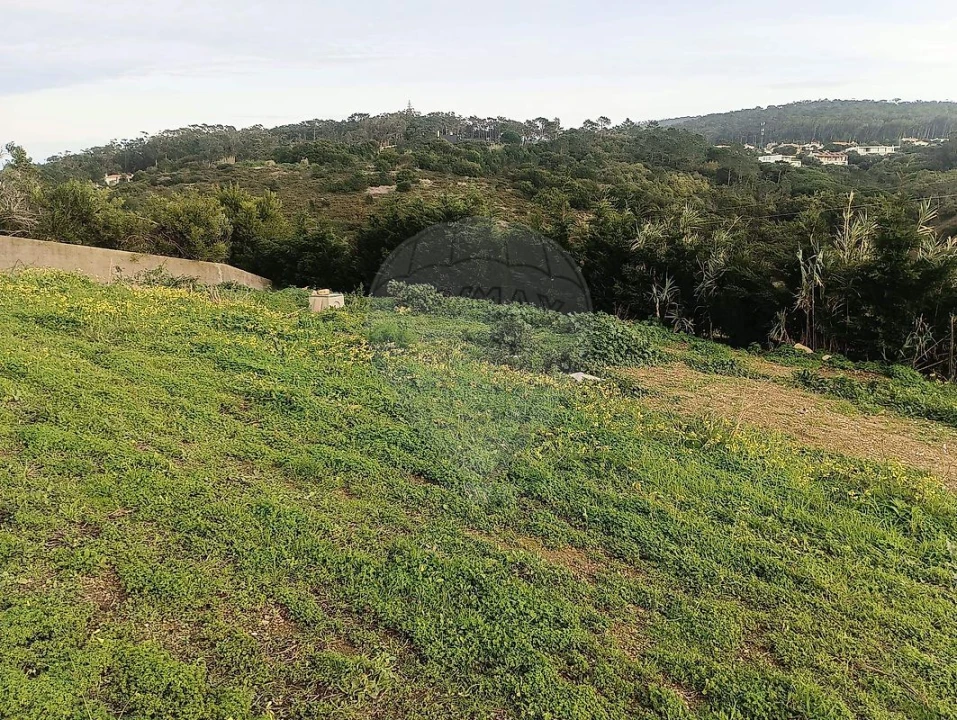 Terreno para Venda em Colares Foto 17