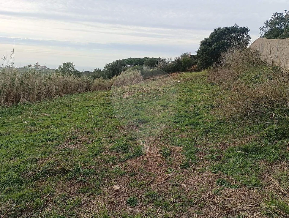 Terreno para Venda em Colares Foto 8