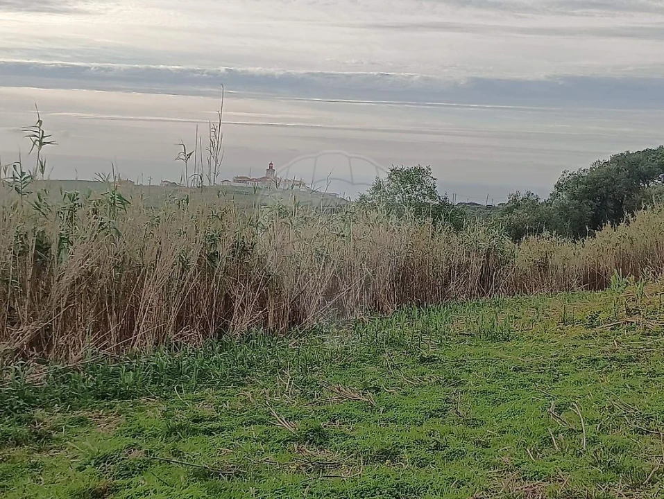 Terreno para Venda em Colares Foto 7