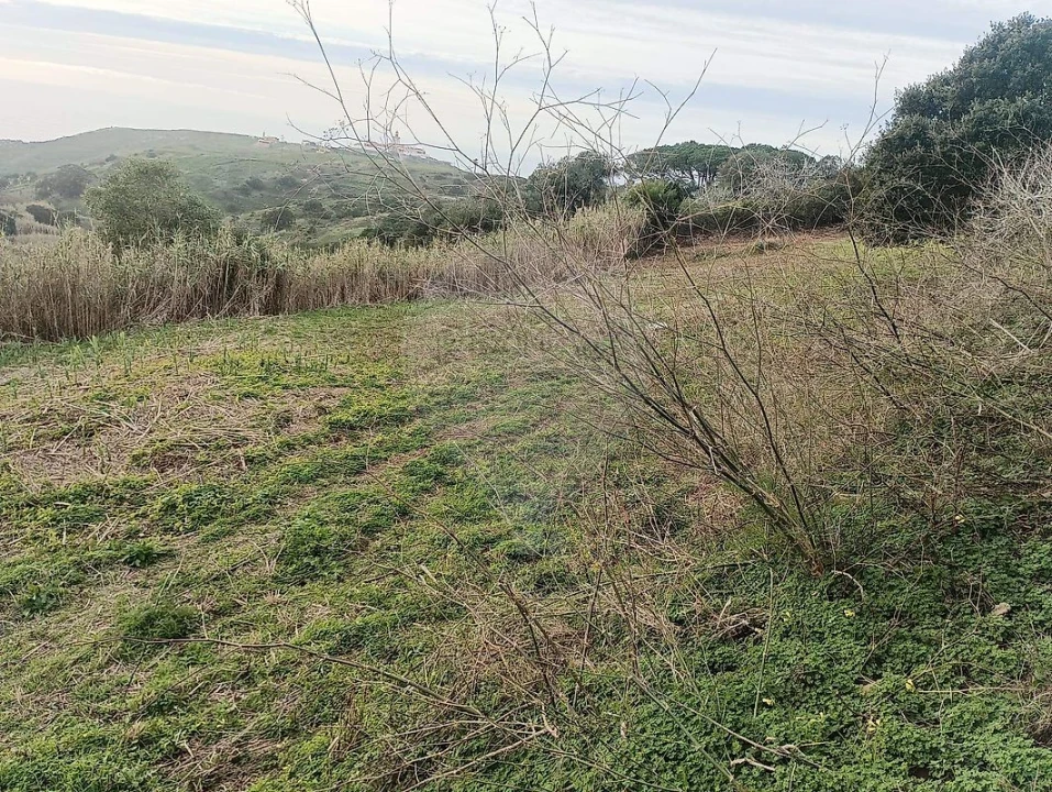 Terreno para Venda em Colares Foto 12