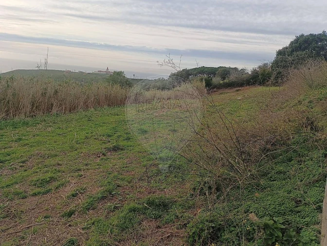 Terreno para Venda em Colares Foto 10