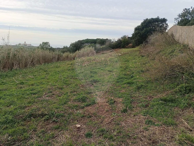 Terreno para Venda em Colares Foto 8
