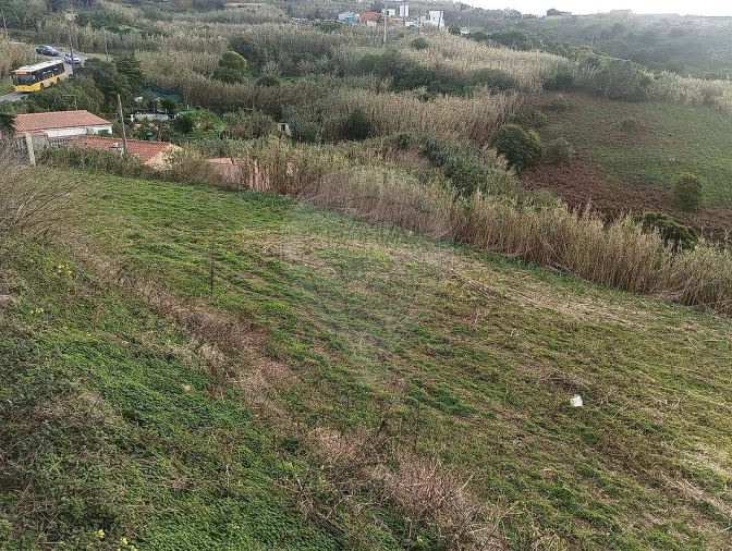 Terreno para Venda em Colares Foto 14