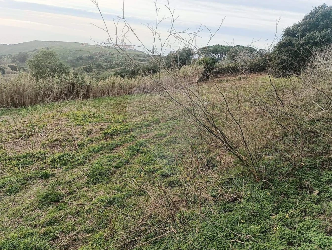 Terreno para Venda em Colares Foto 12