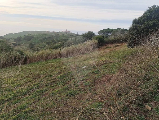 Terreno para Venda em Colares Foto 13