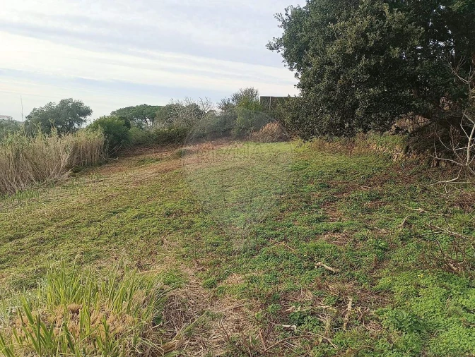 Terreno para Venda em Colares Foto 5