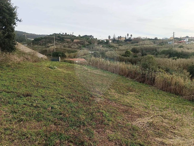 Terreno para Venda em Colares Foto 1