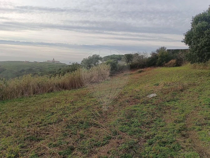 Terreno para Venda em Colares Foto 4