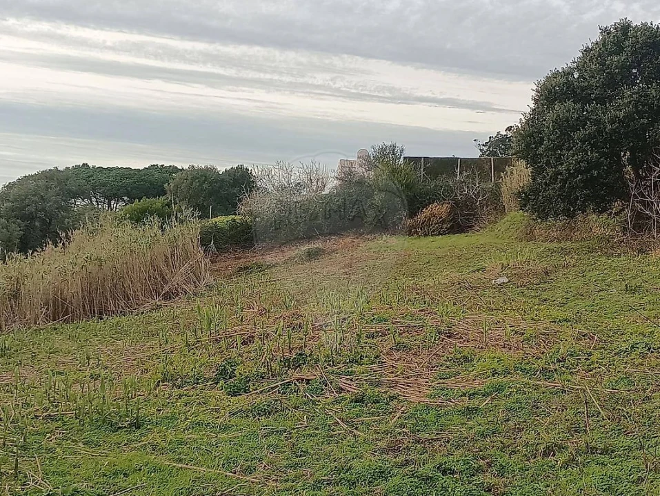 Terreno para Venda em Colares Foto 11