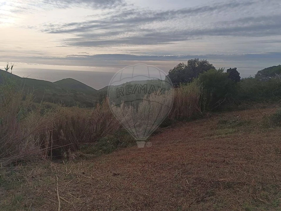 Terreno para Venda em Colares Foto 3